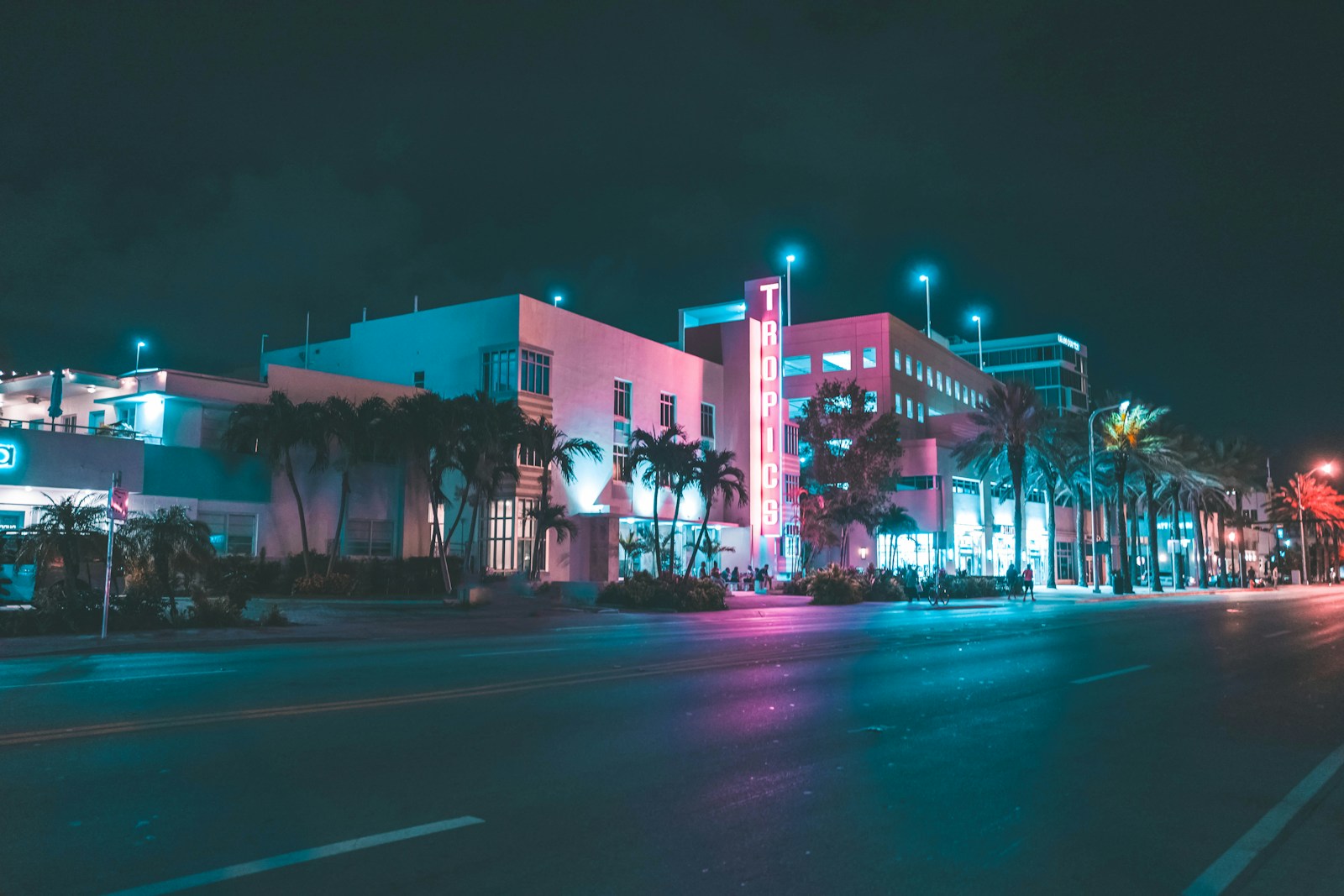 Miami road at night — neon glow